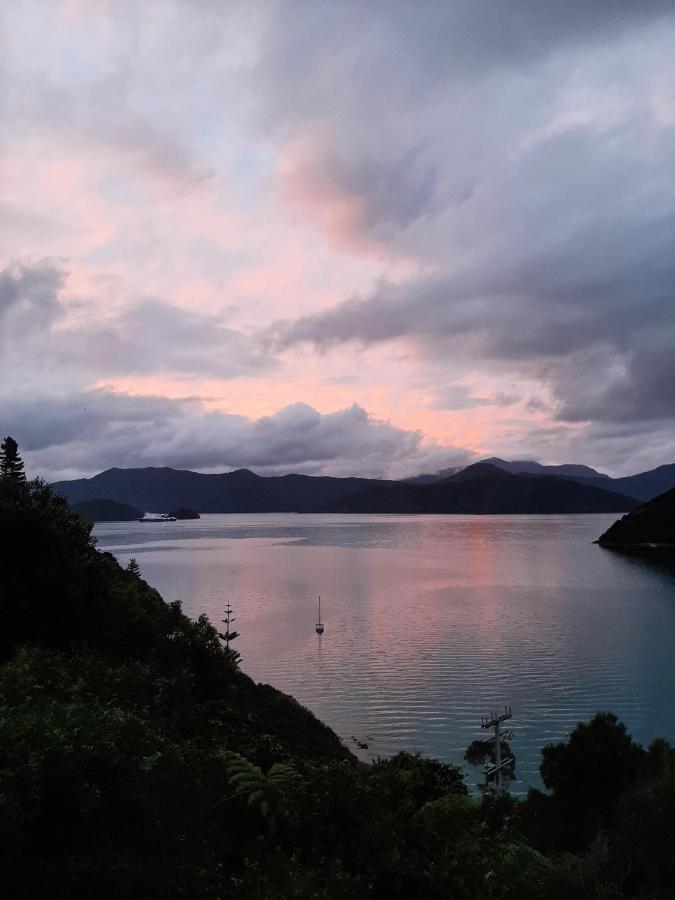 A Sea View B&B Picton Exterior foto